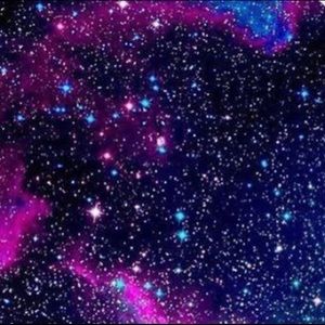 Meet your Posher, Henry